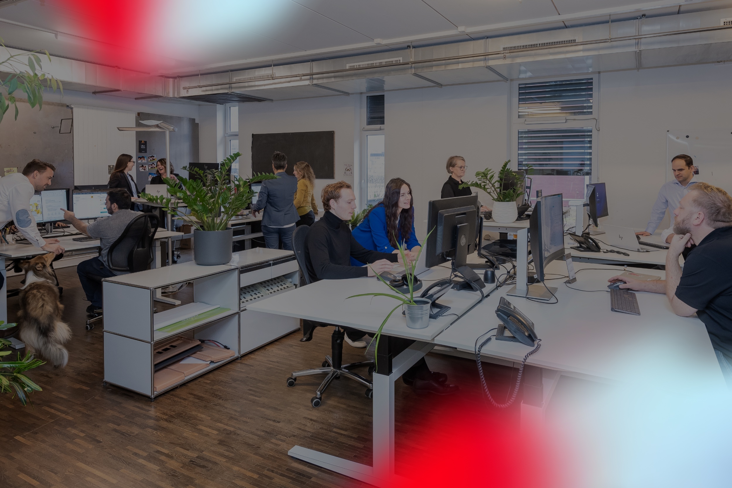 header-marketing-2500x1666-neu